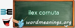 WordMeaning blackboard for ilex cornuta